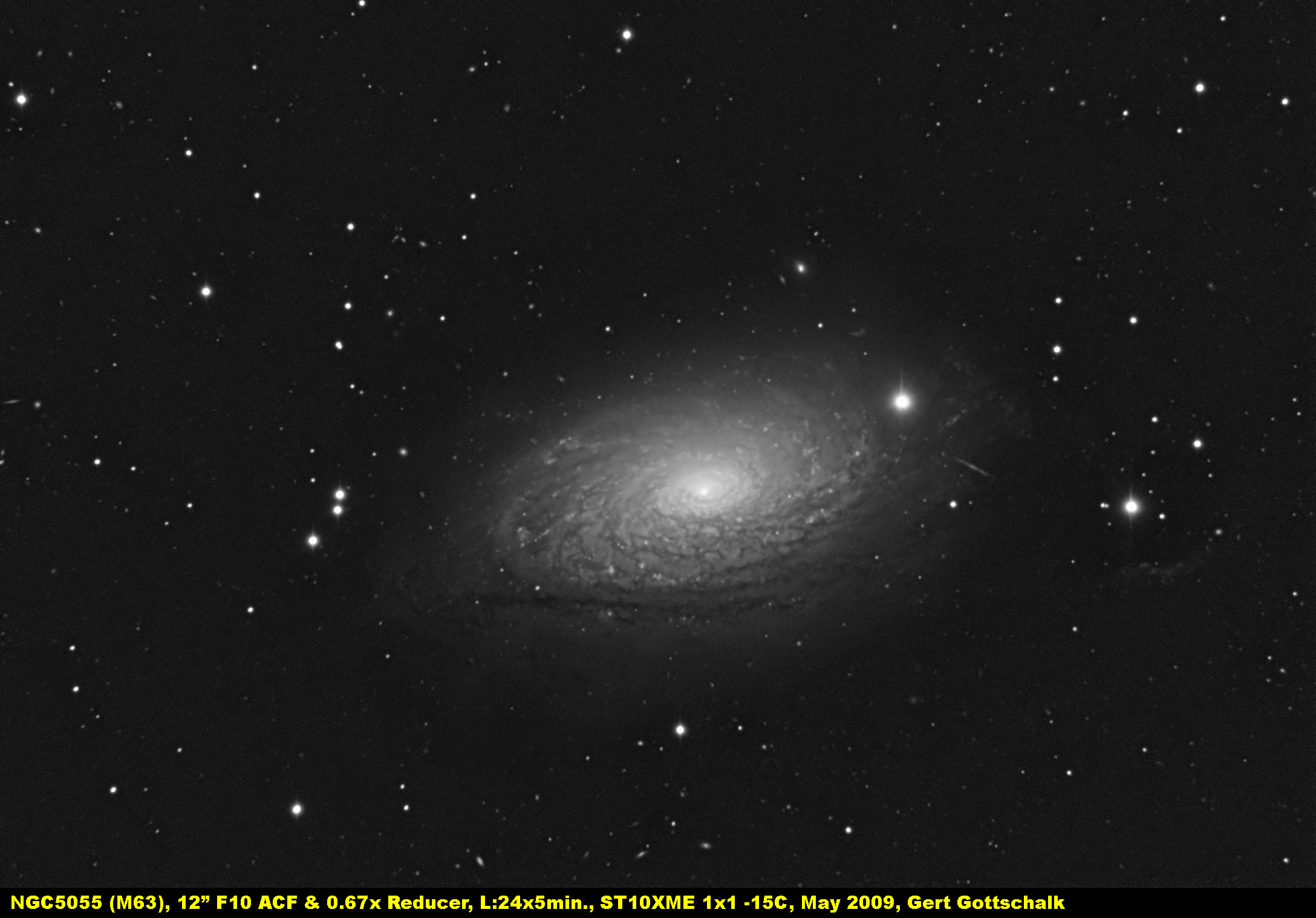 Image NGC 5055