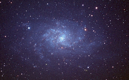 M33